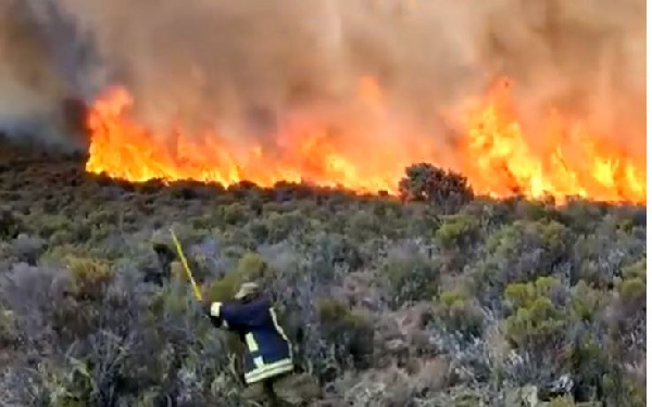 Authorities are battling to contain fire that broke out on Mount Kilimanjaro