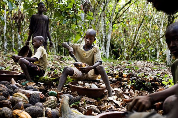 Children doing hazardous work has gone up in the world’s top coca producers