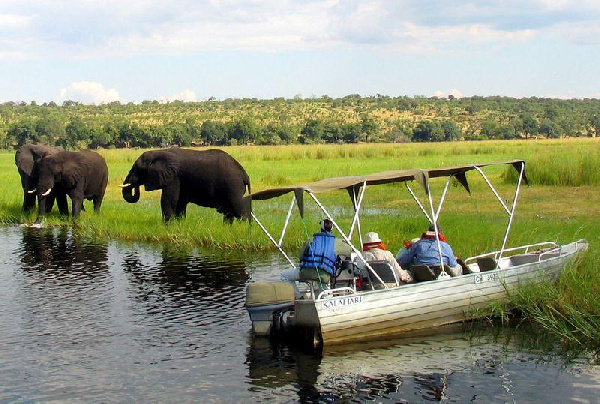 Foreign tourists in safari riverboats observe elephants along the Chobe river bank