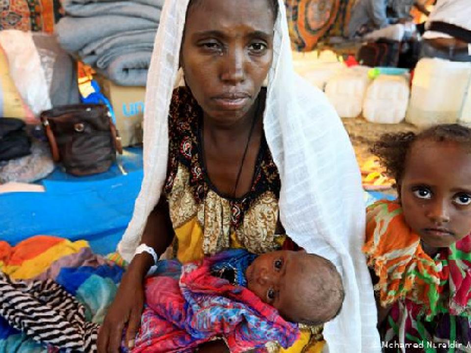 More than 41,000 people have fled the Tigray region