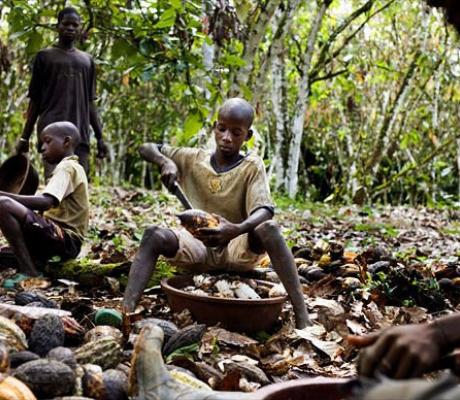 Children doing hazardous work has gone up in the world’s top coca producers