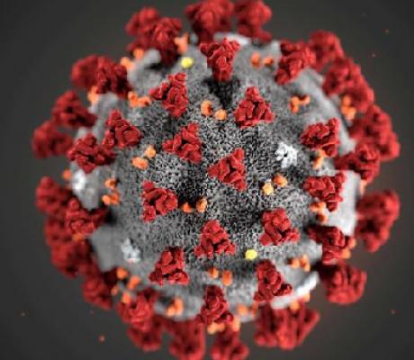 Coronavirus has claimed the lives of millions globally