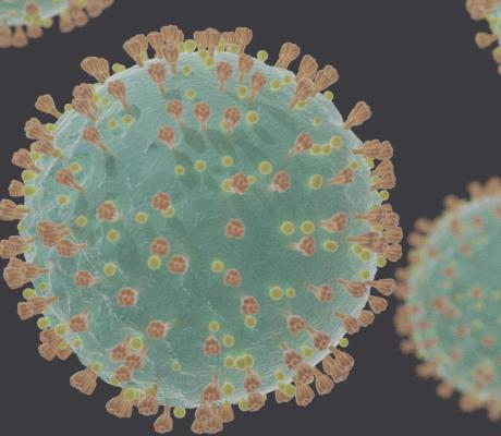  Coronavirus_SARS-CoV-2