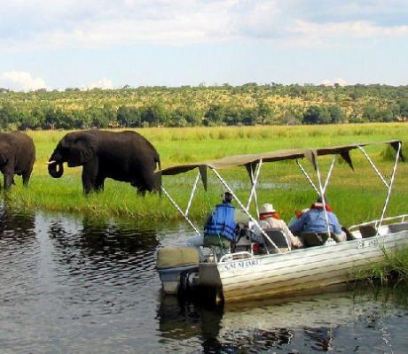 Foreign tourists in safari riverboats observe elephants along the Chobe river bank