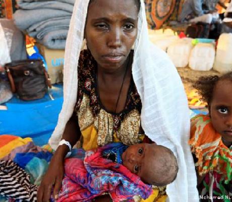 More than 41,000 people have fled the Tigray region