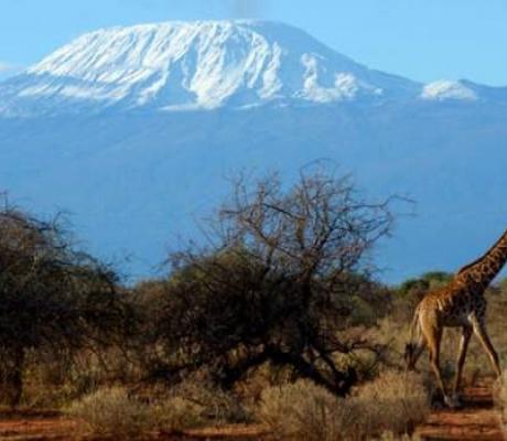 Tanzania's Mount Kilimanjaro, Africa's highest peak, is a major tourist attraction
