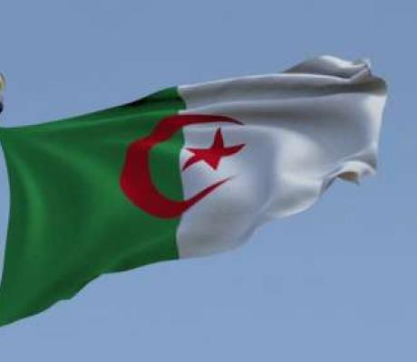 The Algerian presidency has described the constitution as the 'cornerstone of the new Algeria'