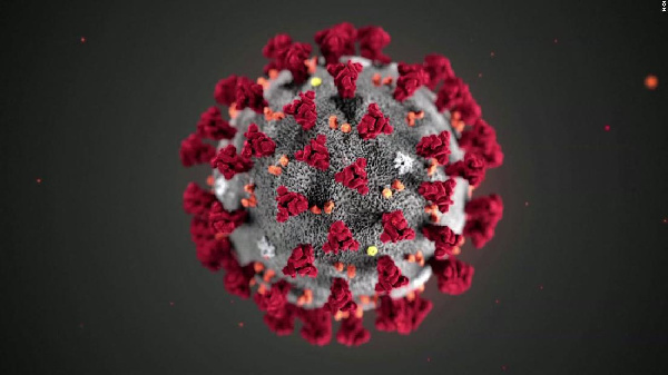 coronavirus 