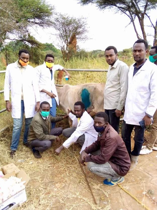 A team of vets in southern Ethiopia