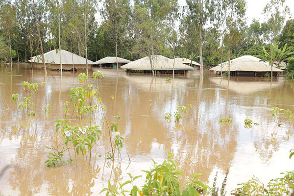 Houses are submerged after a night of heavy rain in Nyadorera