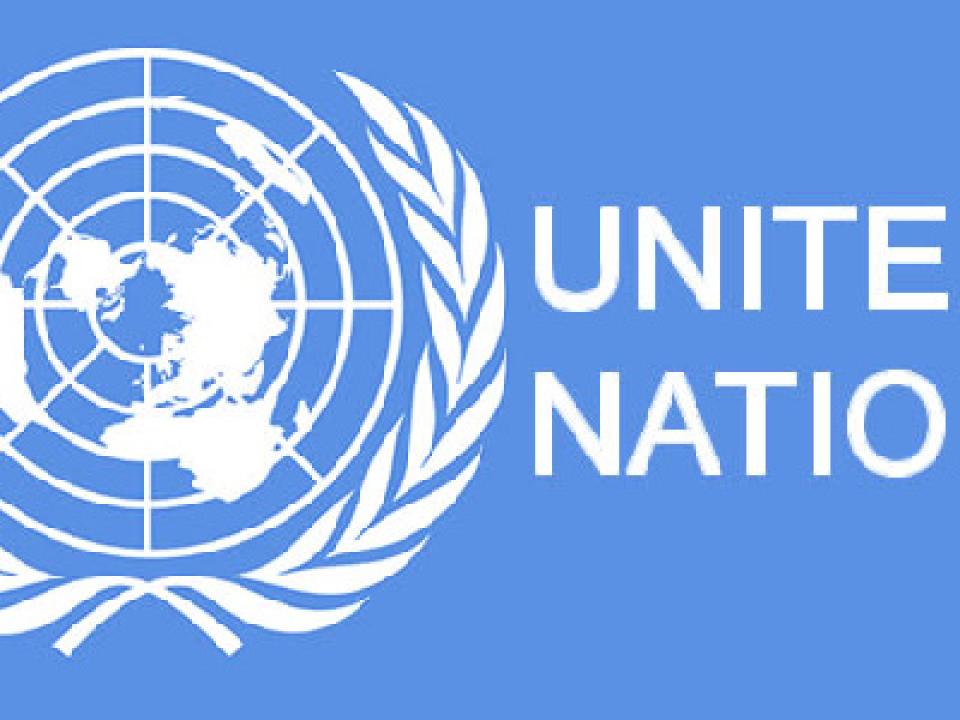 File photo: The UN says more than 231 peacekeepers in Mali have been killed due to hostile accidents