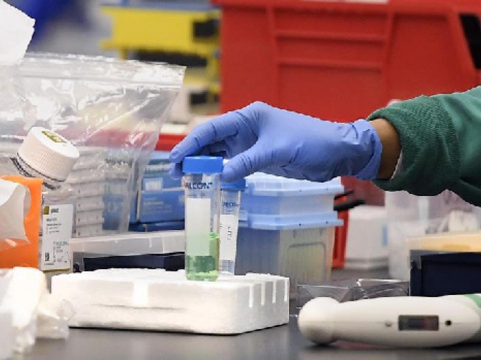 Coronavirus: Africa will not be testing ground for vaccine - WHO