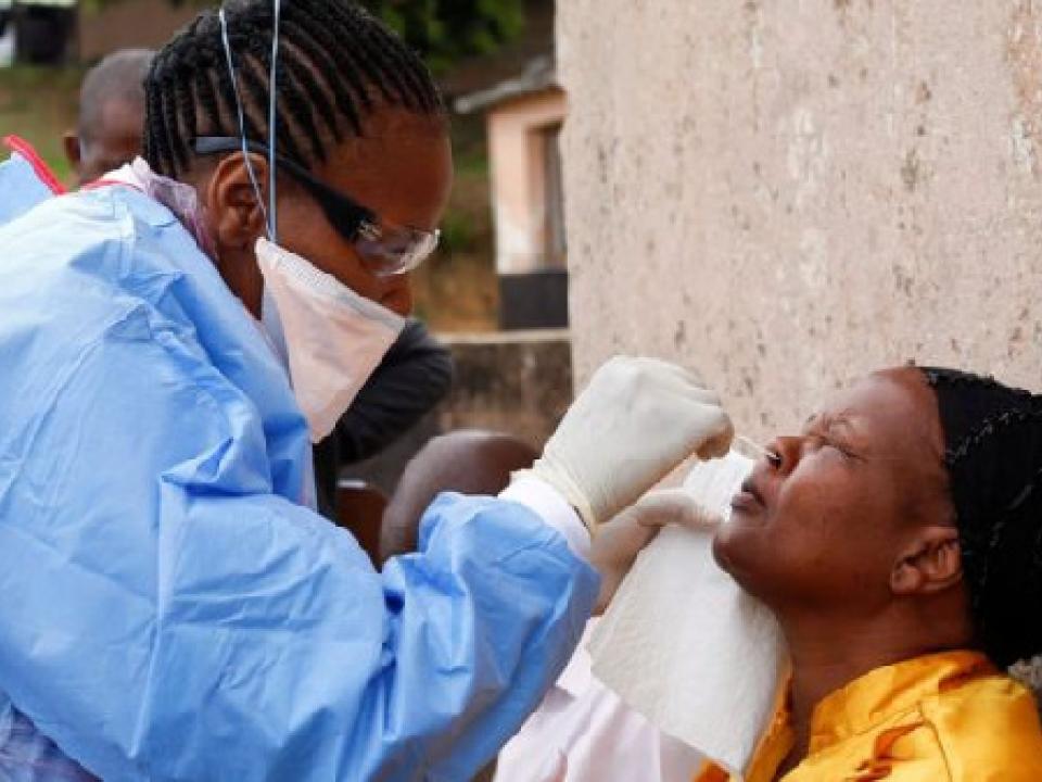 Zimbabwe's coronavirus cases rise to 14