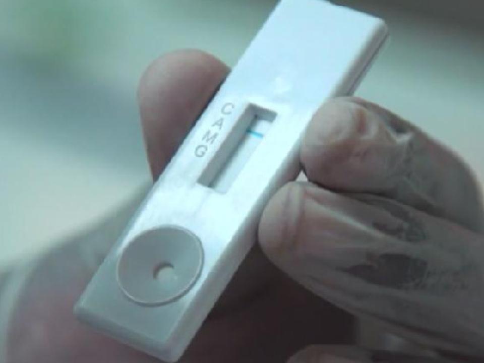 A Covid-19 diagnostic test kit