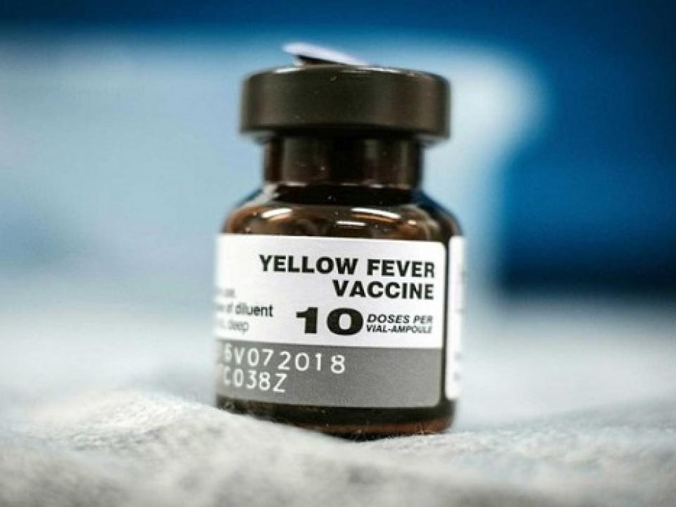 About 76 persons have been confirmed dead in 222 clusters of yellow fever outbreaks