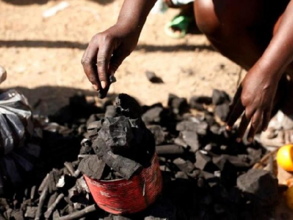 According to the country, the trade is damaging forests and causing carbon emissions