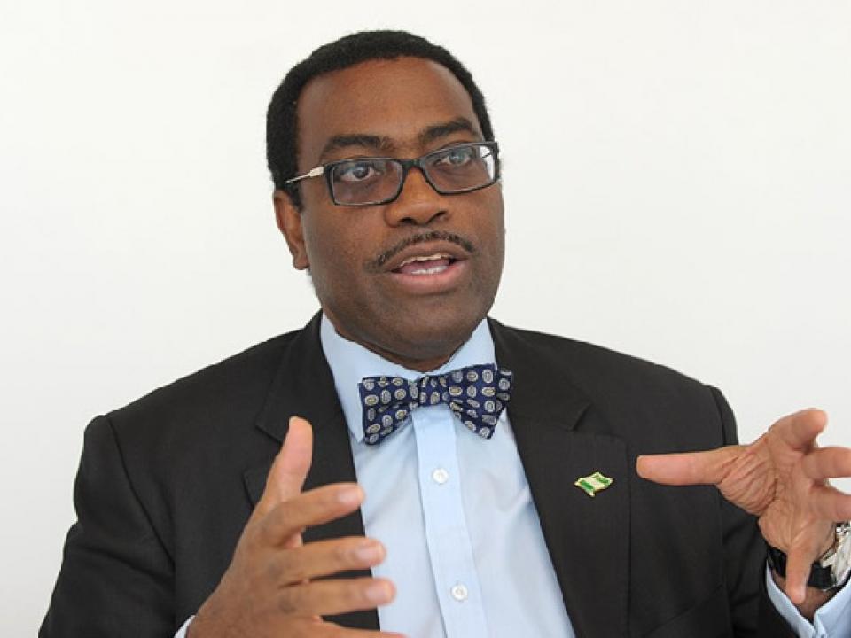 Akinwumi Ayodeji Adesina, President, African Development Bank
