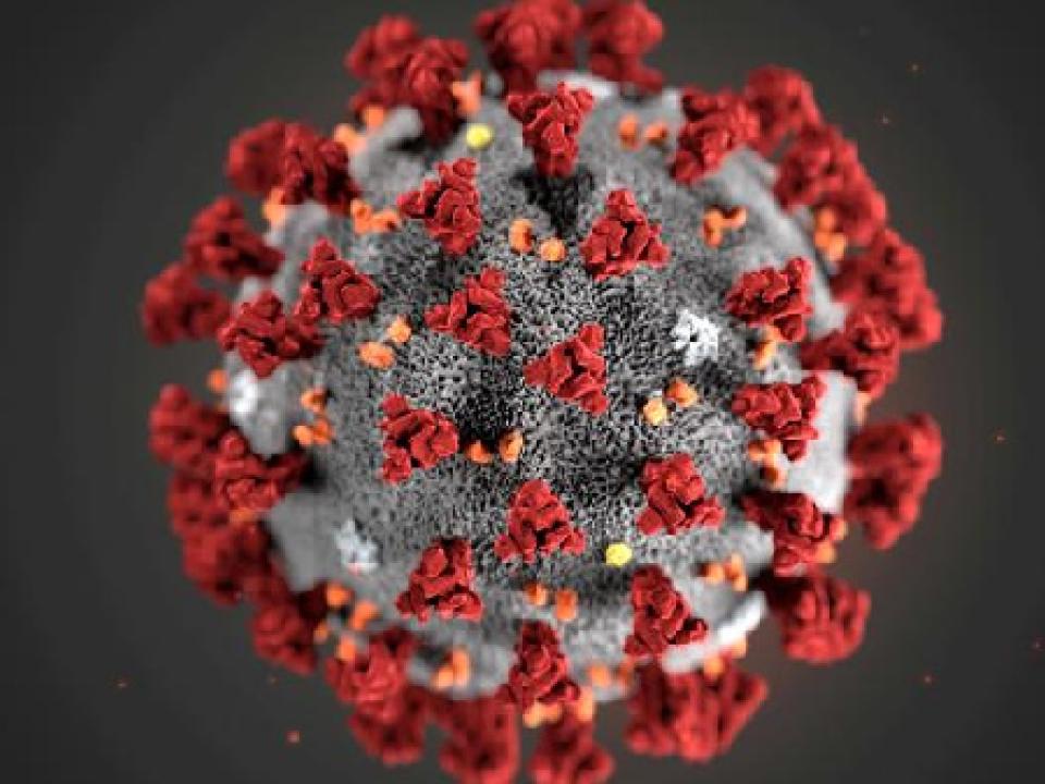 Coronavirus has claimed the lives of millions globally