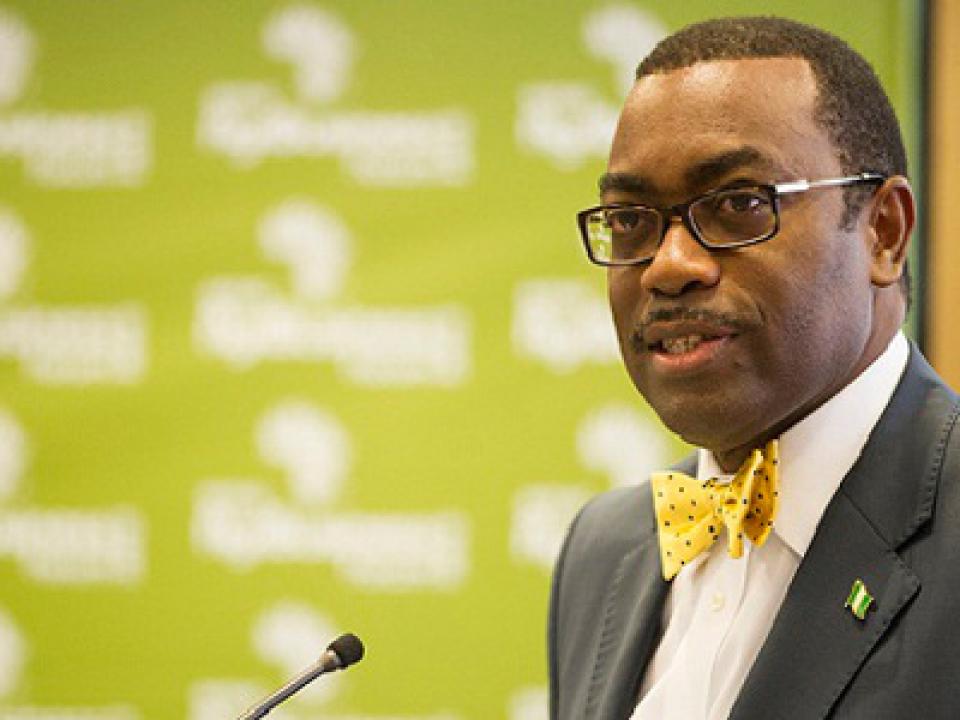 Dr. Akinwumi Adesina, President of the African Development Bank.