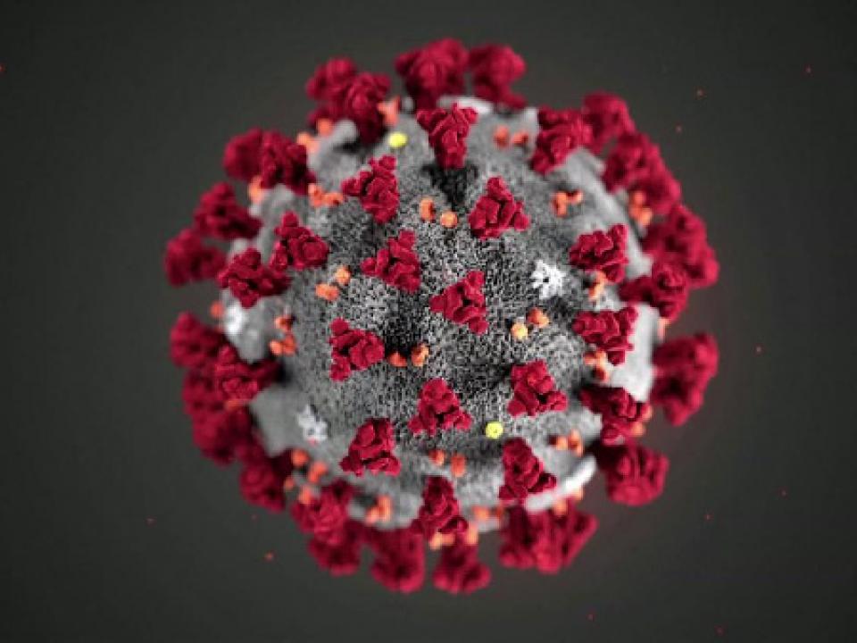 Dismay as DR Congo ‘offers its citizens’ for coronavirus vaccine testing