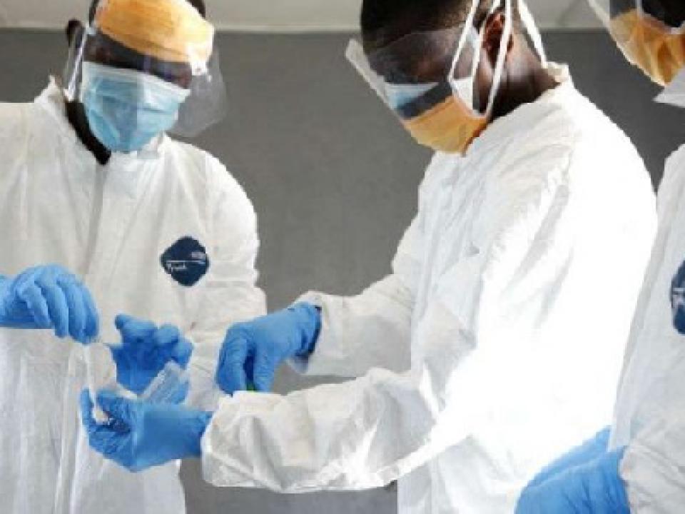 Over 28,000 cases and 456 deaths have been recorded in November