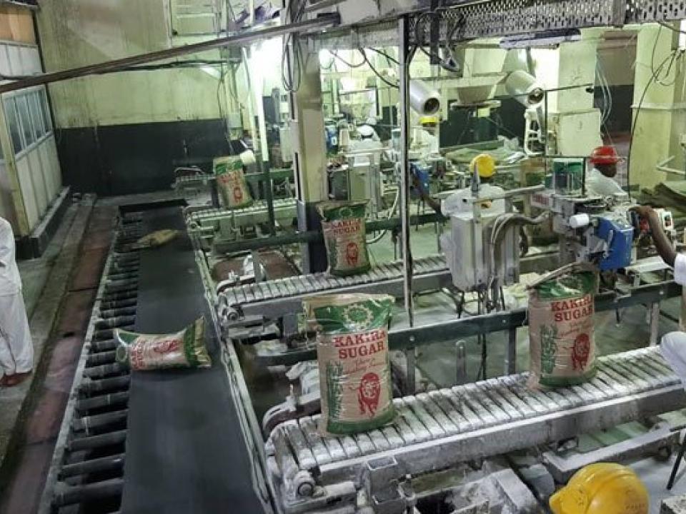 Sugar exports have been falling since last year