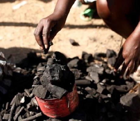 According to the country, the trade is damaging forests and causing carbon emissions