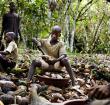 Children doing hazardous work has gone up in the world’s top coca producers