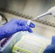 Ghana recorded has 5127 coronavirus cases