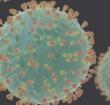  Ghana's coronavirus case count has increased to 1,154 with 120 recoveries