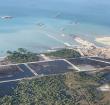 Mozambique LNG will enable Total to increase gas proportion of its hydrocarbon production